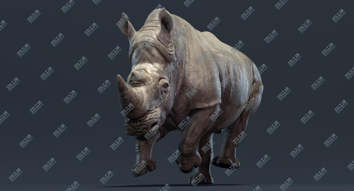 images/goods_img/20210313/Rhino Family (Animated) 3D/2.jpg